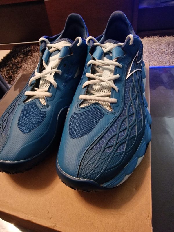 Mizuno wave enforce court no46