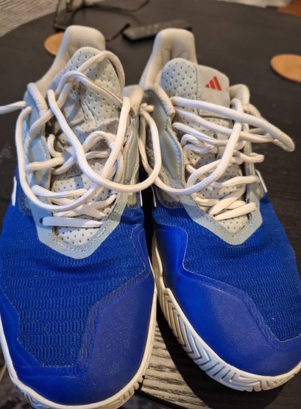 Παπούτσια Adidas για παντελ ή τένις σε χώμα. - Image 3