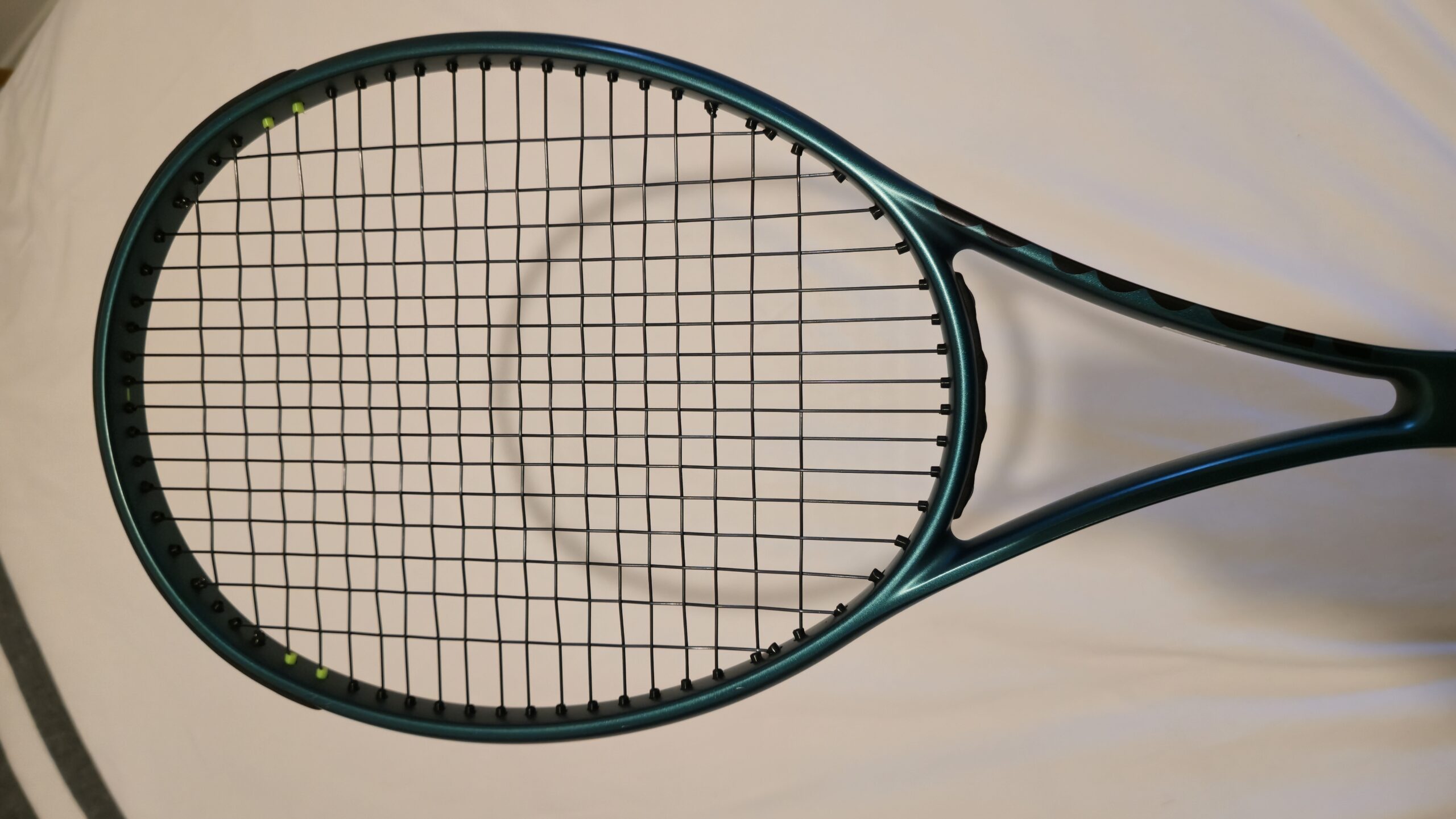 Wilson Blade V9 16x19 2024